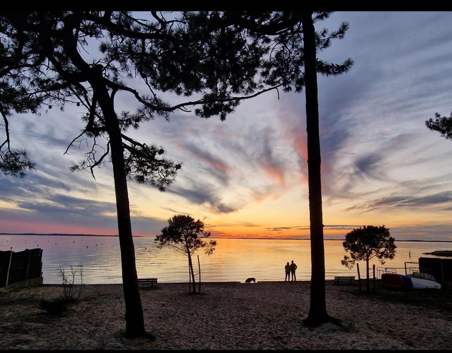 Villa Petit-Pere - A 400M De La Plage Taussat-les-Bains Buitenkant foto